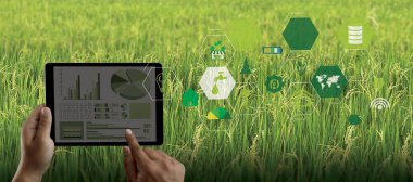 Tarım Teknolojisi Konsepti Tarım Alanında Tablet Kullanan Agronomist Yapay Zeka Öğrenme Teknolojisi 5G entegre edilmiş bir rapor okudu