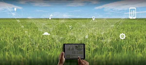 agriculture technology concept man Agronomist Using a Tablet in an Agriculture Field read a report integrate artificial intelligence machine learning technology  5G