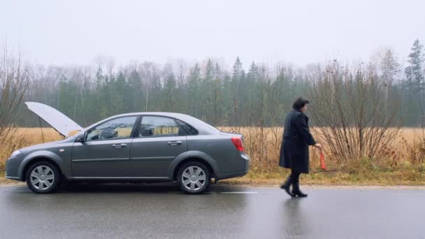 Mujer instalando letrero de triángulo rojo en el bosque. Infortunio en la carretera rural, conductor femenino con coche roto, accidente de coche. — Vídeos de Stock