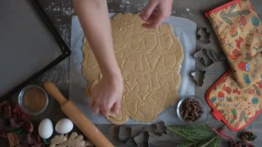 Bir kadın Noel kurabiyelerini fırın tepsisine serer. Noel ve Yeni Yıl kavramı