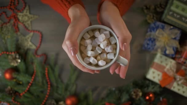 Chocolate quente com marshmallows em mãos femininas. Menina irreconhecível segurando quente bebida aconchegante inverno Cacau quente ou Chocolate — Vídeo de Stock