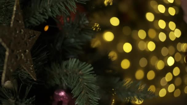 Close-up of woman hands decorating Christmas tree — Stok Video