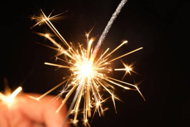 Siyah arka planda izole edilmiş maytaplar. Yüksek kalite fotoğraf