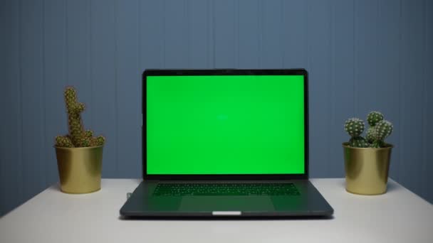 Portatile con schermo verde modellato sfondo blu in ufficio e deliziosi cactus in pentola d'oro, vista spalla Zoom. — Video Stock