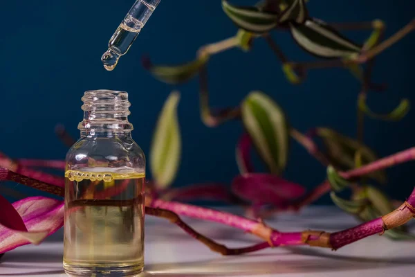 Gerekli yağların karışımı. Aroma sıvısı, parfüm yapıyorum. Parfüm Temel Yağ Ürünleri. Kozmetik pipetten cam şişeye düşen damlalar. Deri ve vücut bakımı. Güzellik Eczacılık Konsepti.