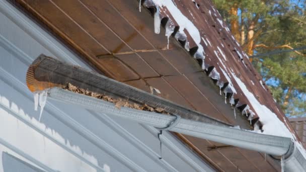 IJspegels smelten en druppelen op de zon terwijl ze hangen aan het dak van een houten huis in de winter zonnige dag. Opwarmen. Lente zon schijnt op druipende ijspegels. Water druipt snel. — Stockvideo