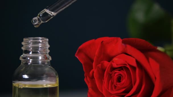 Капельное масло из пипетки в стеклянную бутылку на фоне розы — стоковое видео
