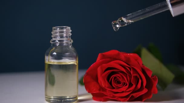 Öltropfen aromatischer blumiger Flüssigkeiten, die von der Kosmetikpipette auf die Glasflasche mit Parfüm fallen. Schöne Rosenblüten — Stockvideo
