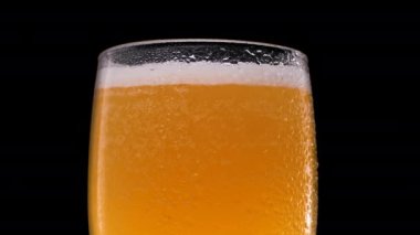 Siyah arka planda bardakta taze bira. Yemek kavramı..