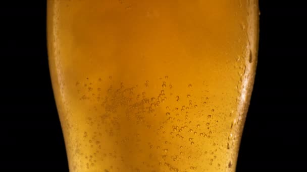 Häll färskt öl i kallt glas. — Stockvideo