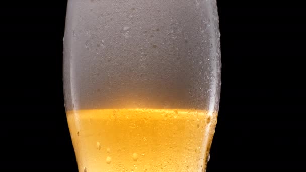 Κρύο φως μπύρα σε ένα ποτήρι με σταγόνες νερού. Κούπα μπύρας κοντά σε μαύρο φόντο. Αφρός μπύρας. — Αρχείο Βίντεο