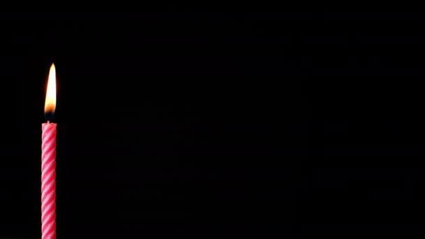 Verjaardagskaarsen licht op geïsoleerd zwart. Plaats voor tekst — Stockvideo