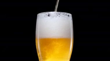 Hafif bira bardağa dökülüyor. Bardakta soğuk bira ve su damlası. Bira köpük oluşturur. Tazelik ve köpük. İzole edilmiş siyah arkaplan.