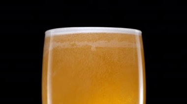 Hafif bira bardağa dökülüyor. Su damlası ve köpükle siyah arka planda bira bardağında soğuk bira. İzole edilmiş siyah arkaplan.