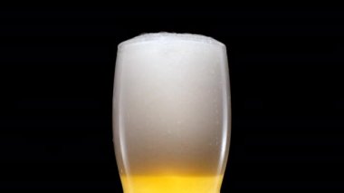 Hafif bira bardağa dökülüyor. Su damlacıkları ve köpüklü siyah arka planda bira bardağında soğuk light bira. Bira oluşumu