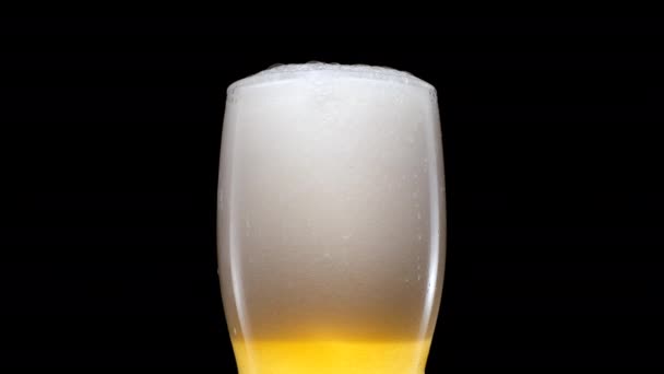 La birra leggera si sta versando nel bicchiere. Birra leggera fredda in una tazza di birra su uno sfondo nero con goccioline d'acqua e schiuma. Birra Lager formando — Video Stock