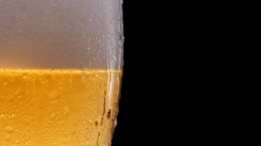 Su damlalı bir bardak bira. Bira köpüğü. Su damlacıkları ve köpüklü siyah arka planda bira bardağında soğuk light bira..