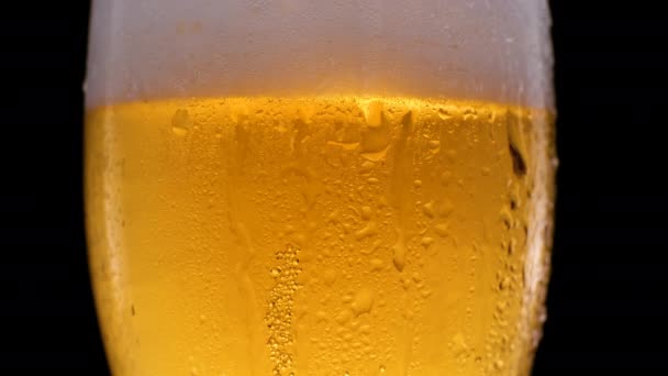Cold light beer in a beer mug on a black background with water droplets and foam. Lager Beer closeup. Glass of beer with water drops. Beer foam. — Stock Video
