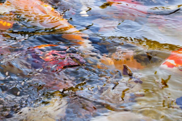 Água e cores — Fotografia de Stock