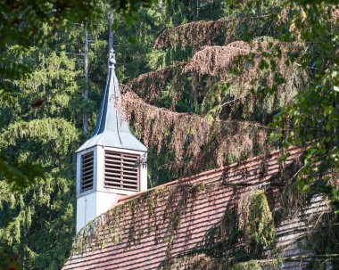 Hermitage-ada ile Şapel 