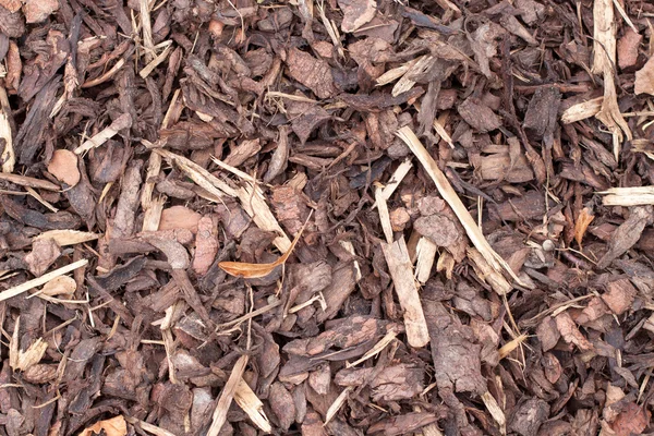 Coarse bark - nicely distributed, gross bark mulch in the fall — Stock Photo, Image