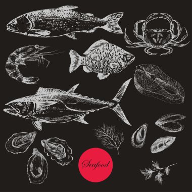 vektör elle çizilmiş deniz ürünleri set - karides, Yengeç, ıstakoz, somon, istiridye, midye, ton balığı, alabalık, sazan. Akdeniz mutfağı deniz gıda kroki