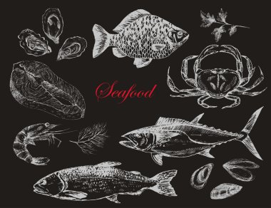 vektör elle çizilmiş deniz ürünleri set - karides, Yengeç, ıstakoz, somon, istiridye, midye, ton balığı, alabalık, sazan. Akdeniz mutfağı deniz gıda kroki