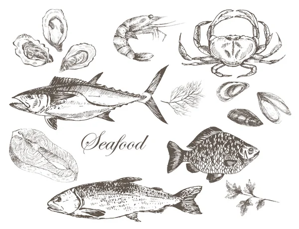 vektör elle çizilmiş deniz ürünleri set - karides, Yengeç, ıstakoz, somon, istiridye, midye, ton balığı, alabalık, sazan. Akdeniz mutfağı deniz gıda kroki