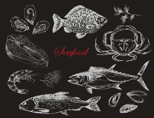 vektör elle çizilmiş deniz ürünleri set - karides, Yengeç, ıstakoz, somon, istiridye, midye, ton balığı, alabalık, sazan. Akdeniz mutfağı deniz gıda kroki