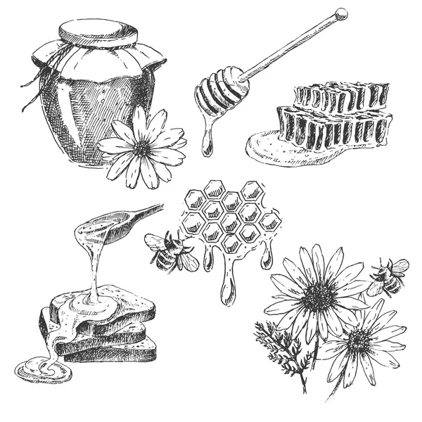 Conjunto de elementos vetoriais mel. frasco desenhado à mão, colher, pau, células, camomila. esboço de tinta de produtos de natureza orgânica Ilustração De Stock