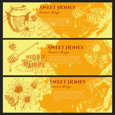 vektör bal afiş tasarım seti. el çizilmiş kavanoz, kaşık, sopa, hücreler, papatya. organik doğa ürünlerinin mürekkep krokisi