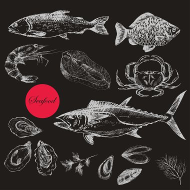 vektör elle çizilmiş deniz ürünleri set - karides, Yengeç, ıstakoz, somon, istiridye, midye, ton balığı, alabalık, sazan. Akdeniz mutfağı deniz gıda kroki