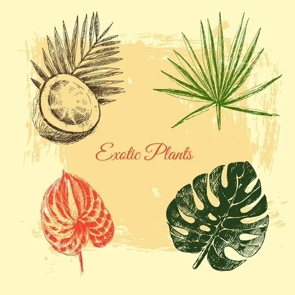 Vector hand getrokken tropische planten en exotische bloemen - palmbladeren — Stockvector