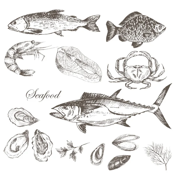 ชุดอาหารทะเลที่วาดด้วยมือแบบเวกเตอร์ - กุ้ง, ปู, ล็อบสเตอร์, แซลมอน, หอยนางรม, มัสเซล, ทูน่า, ปลาเทราท์, ปลาคาร์พ อาหารเมดิเตอร์เรเนียน ภาพสเก็ตช์อาหารทะเล — ภาพเวกเตอร์สต็อก