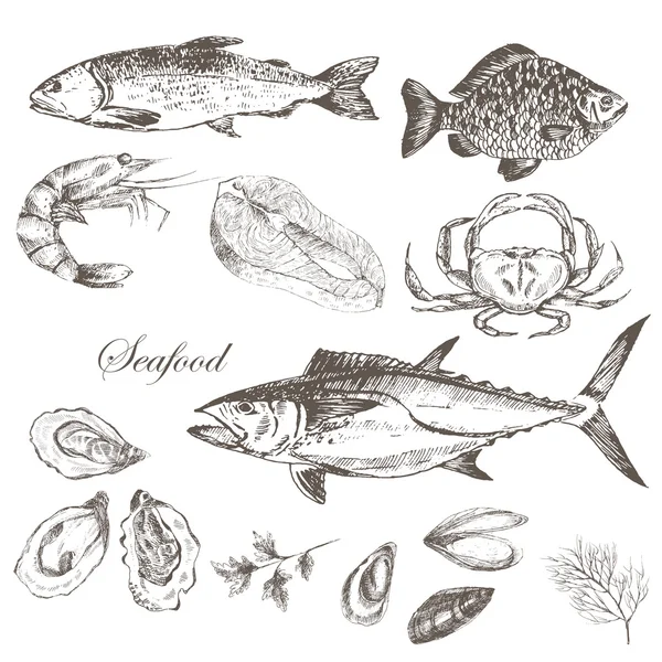 Vektortrukket sjømatsett - reker, krabbe, hummer, laks, østers, blåskjell, tunfisk, ørret, karpe. mediterean cuisine sea food sketch – stockvektor