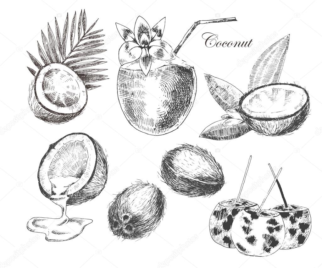 Sketch coconut pattern. Exotic food | Background Graphics ~ Creative Market