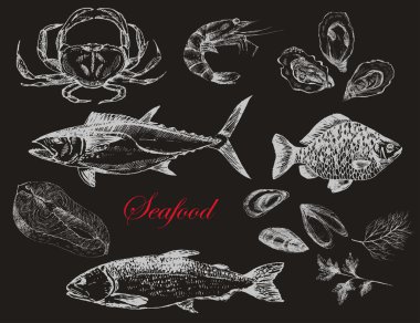 vektör elle çizilmiş deniz ürünleri set - karides, Yengeç, ıstakoz, somon, istiridye, midye, ton balığı, alabalık, sazan. Akdeniz mutfağı deniz gıda kroki