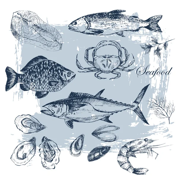 vektör elle çizilmiş deniz ürünleri set - karides, Yengeç, ıstakoz, somon, istiridye, midye, ton balığı, alabalık, sazan. Akdeniz mutfağı deniz gıda kroki