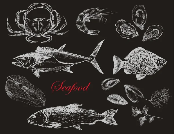 vektör elle çizilmiş deniz ürünleri set - karides, Yengeç, ıstakoz, somon, istiridye, midye, ton balığı, alabalık, sazan. Akdeniz mutfağı deniz gıda kroki