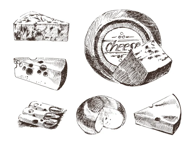 vektör peynir kroki çizim tasarım şablonu. Çiftlik Gıda koleksiyonu. elle çizilmiş süt ürünleri