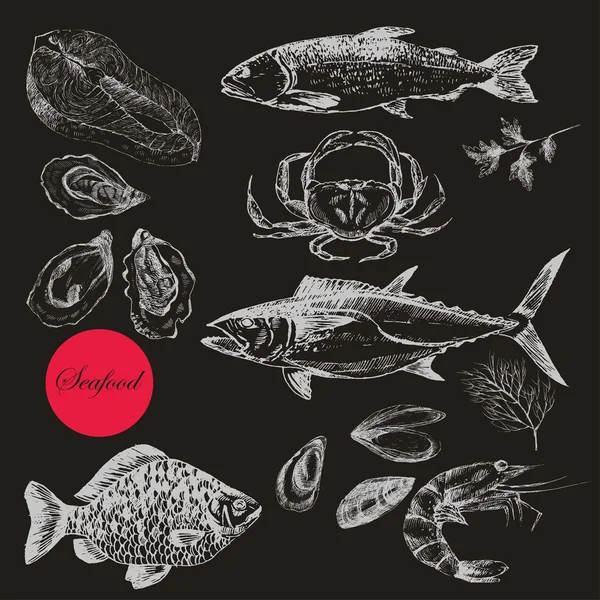 vektör elle çizilmiş deniz ürünleri set - karides, Yengeç, ıstakoz, somon, istiridye, midye, ton balığı, alabalık, sazan. Akdeniz mutfağı deniz gıda kroki