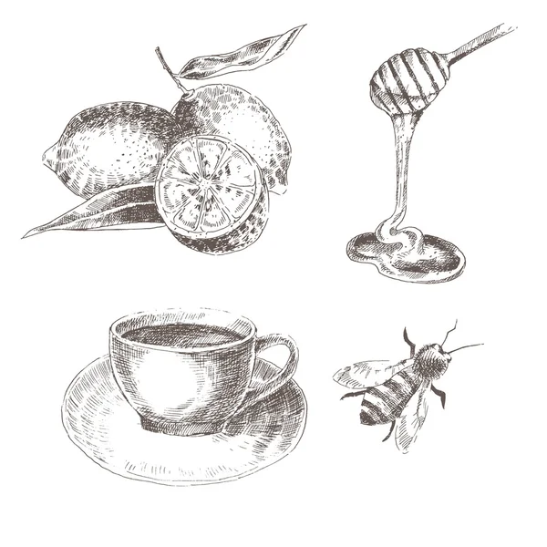 Vector mano dibujado limón, cuchara de miel, taza de café, abeja. bosquejo dibujo colección de alimentos saludables — Archivo Imágenes Vectoriales