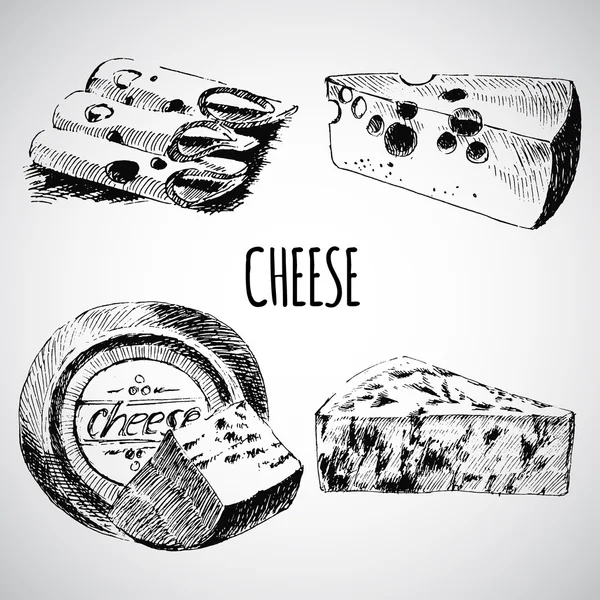 Schizzo del formaggio vettore disegno modello del progettista. raccolta di alimenti aziendali. latticini fatti a mano — Vettoriale Stock