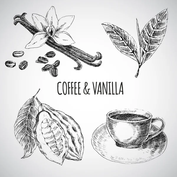 Set dibujado a mano vectorial con especias de postre. Ilustración vintage. Colección retro de vainilla, cacao, granos de café, hojas, bebida caliente — Archivo Imágenes Vectoriales