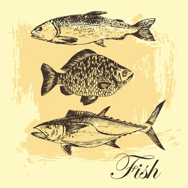 ภาพวาดภาพวาดปลาเวกเตอร์ - แซลมอน, ปลาเทราท์, ปลาคาร์พ, ปลาทูน่า ภาพประกอบอาหารทะเลที่วาดด้วยมือ — ภาพเวกเตอร์สต็อก