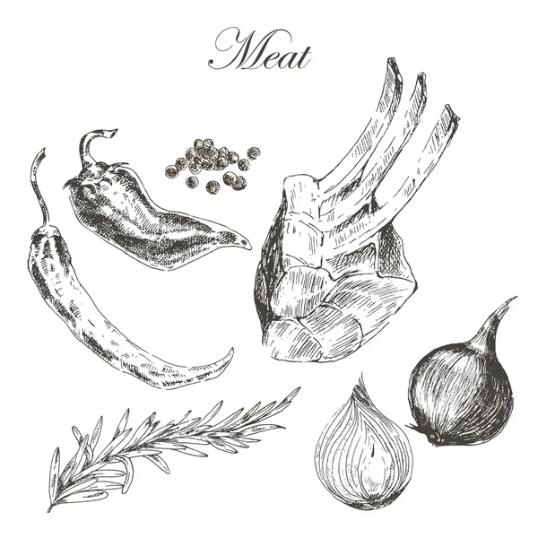 Vector steak meat hand drawing with pepper and rosemary. detailed ink food illustration — Wektor stockowy