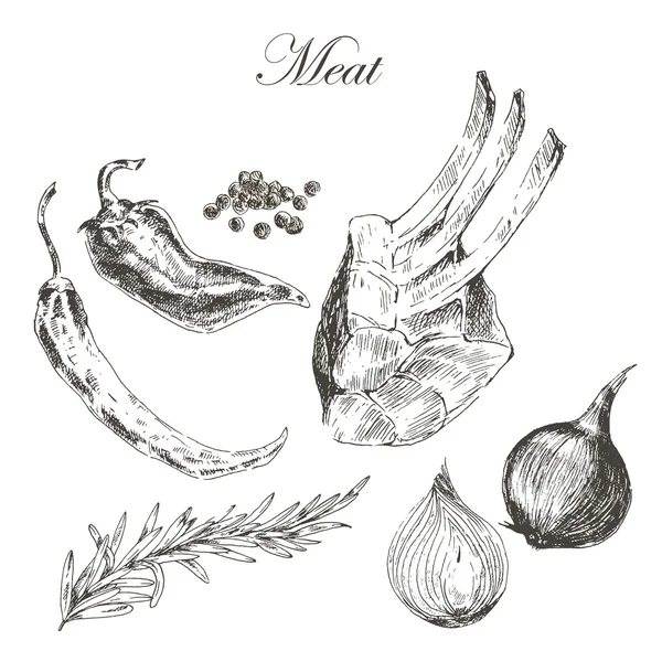 vector steak meat hand drawing with pepper and rosemary. detailed ink food illustration