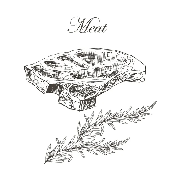 vector steak meat hand drawing with pepper and rosemary. detailed ink food illustration