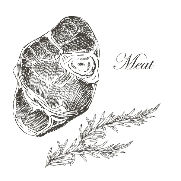 Vector steak meat hand drawing with pepper and rosemary. detailed ink food illustration — Stock vektor