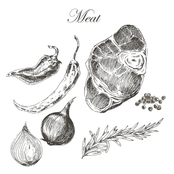 vector steak meat hand drawing with pepper and rosemary. detailed ink food illustration